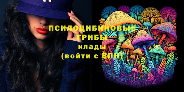 ешки Абинск
