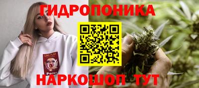 МДПВ Можайск
