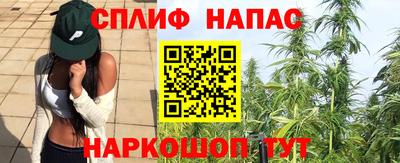 дурь Можга