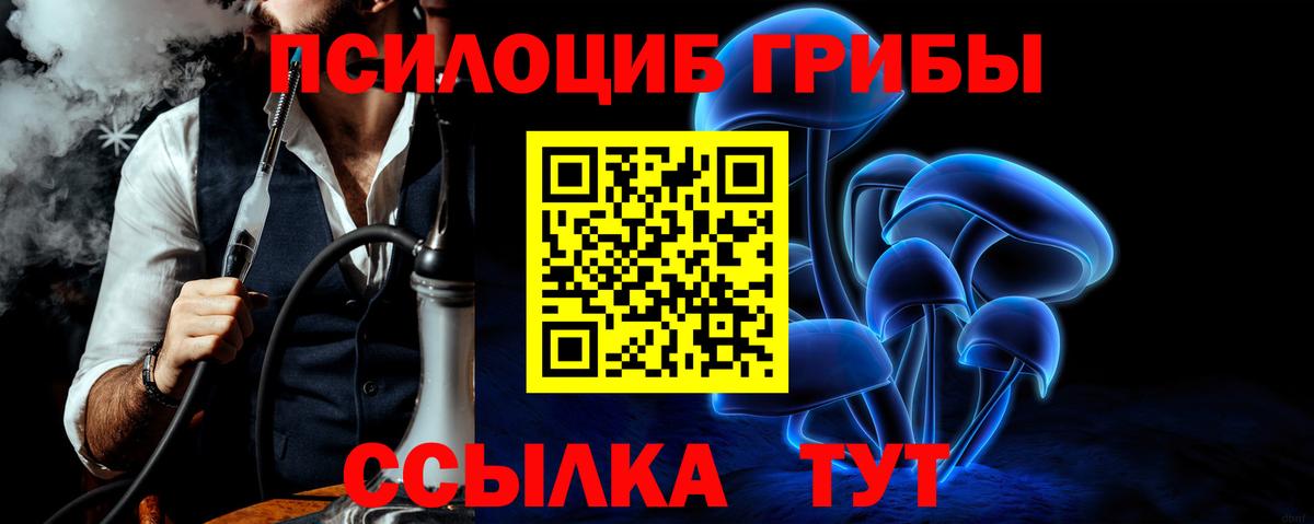 где найти   Вход с VPN  Чита  Псилоцибиновые грибы Cubensis  Галлюциногенные грибы Psilocybe 