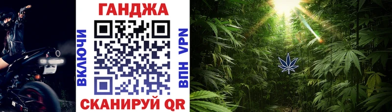 Конопля сатива Чита